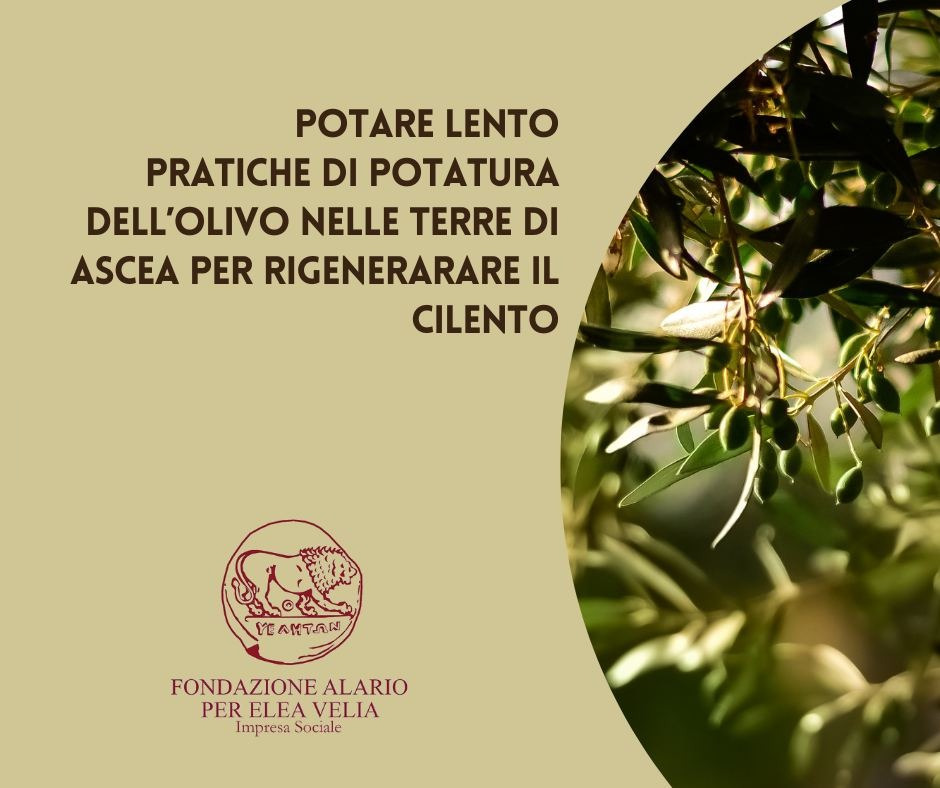 POTARE LENTO | Calendario di svolgimento dei colloqui motivazionali